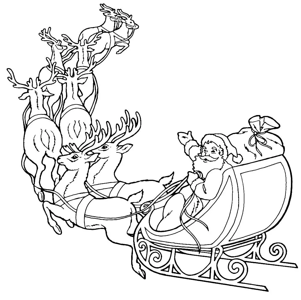 Horse and at getcolorings free printable