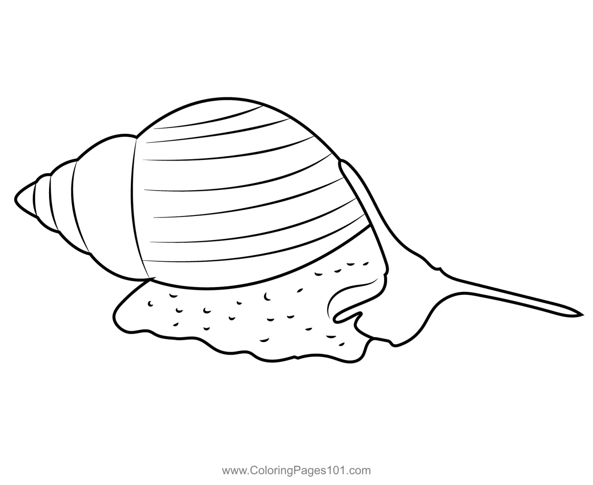 Snail Coloring Page for Kids - Free Snails Printable Coloring Pages