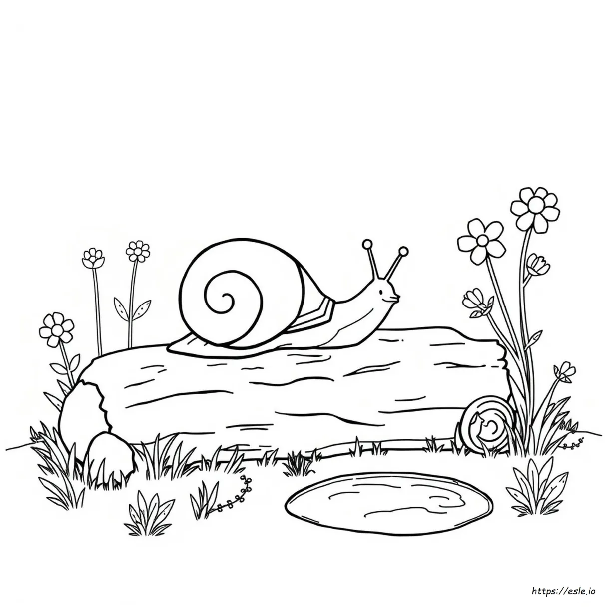 Snail coloring page