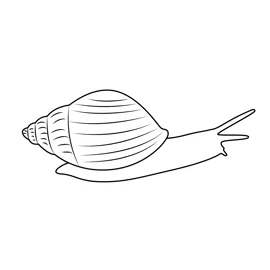 Apple snail coloring page for kids free snails printable coloring