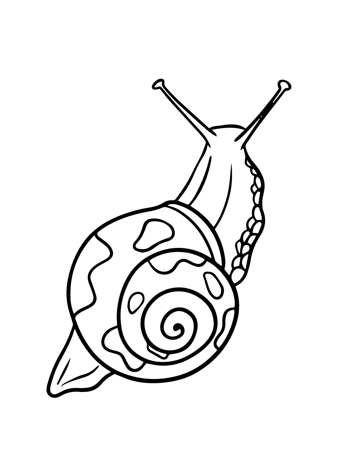 Snail s coloring page free printable coloring pages
