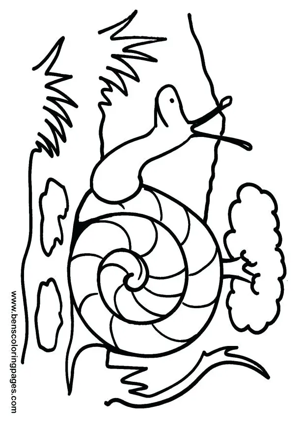 Snail coloring page at getcolorings free printable colorings