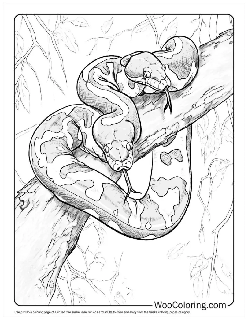 100+ Snake coloring pages (Free PDF To Print) | Woo Coloring