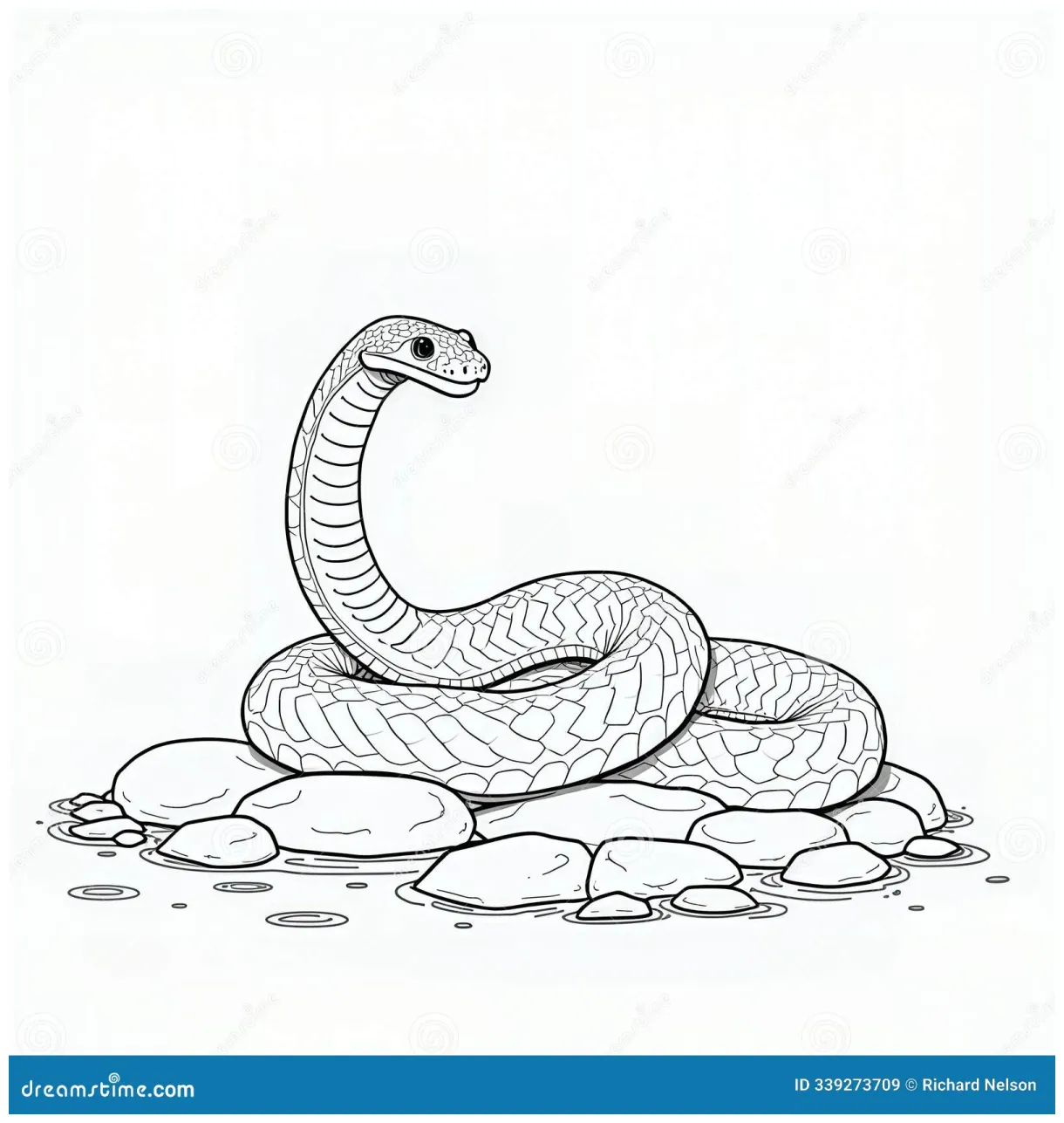 Snake coloring page stock illustration. illustration of drawing 339273709