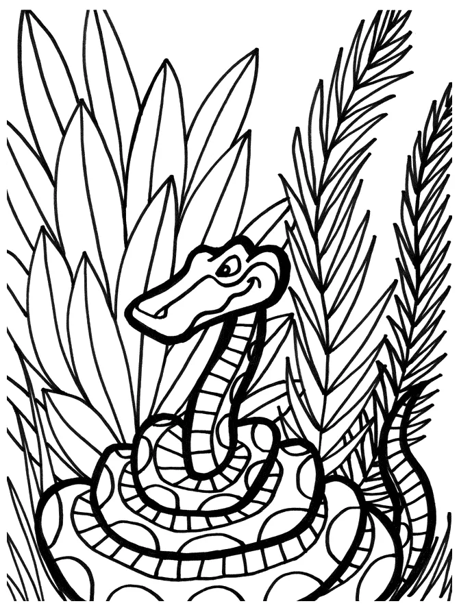 Snake coloring page - Animals Town - Free Snake color sheet