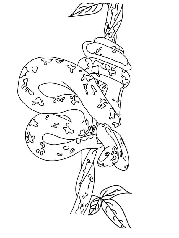 Free download, print or color online for free