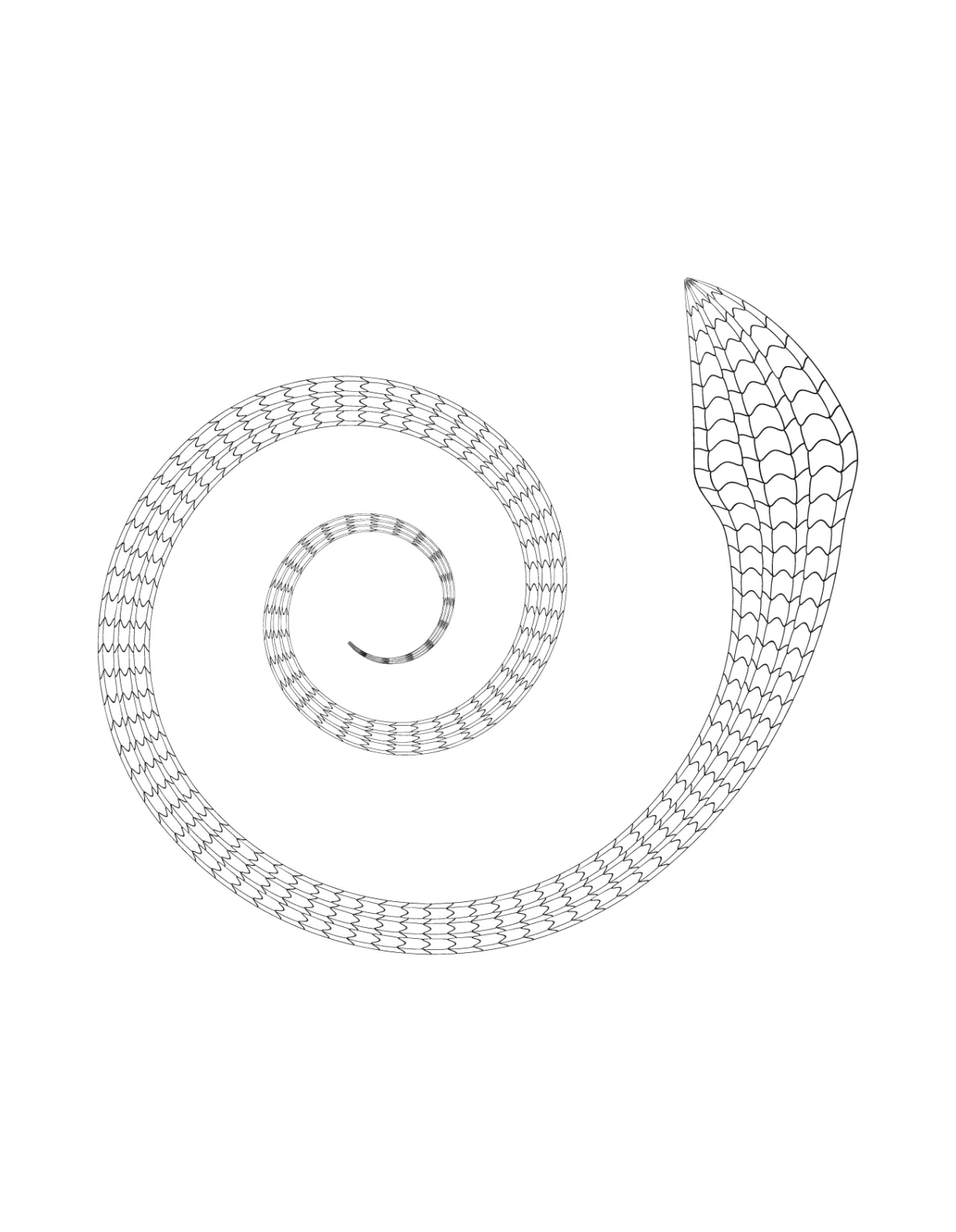 Snake Coloring Pages – Printable Coloring Pages. FREE