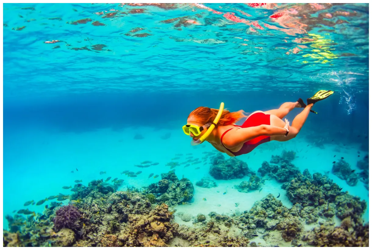 The 10 Best Snorkeling Spots In Nassau, The Bahamas | Sandals