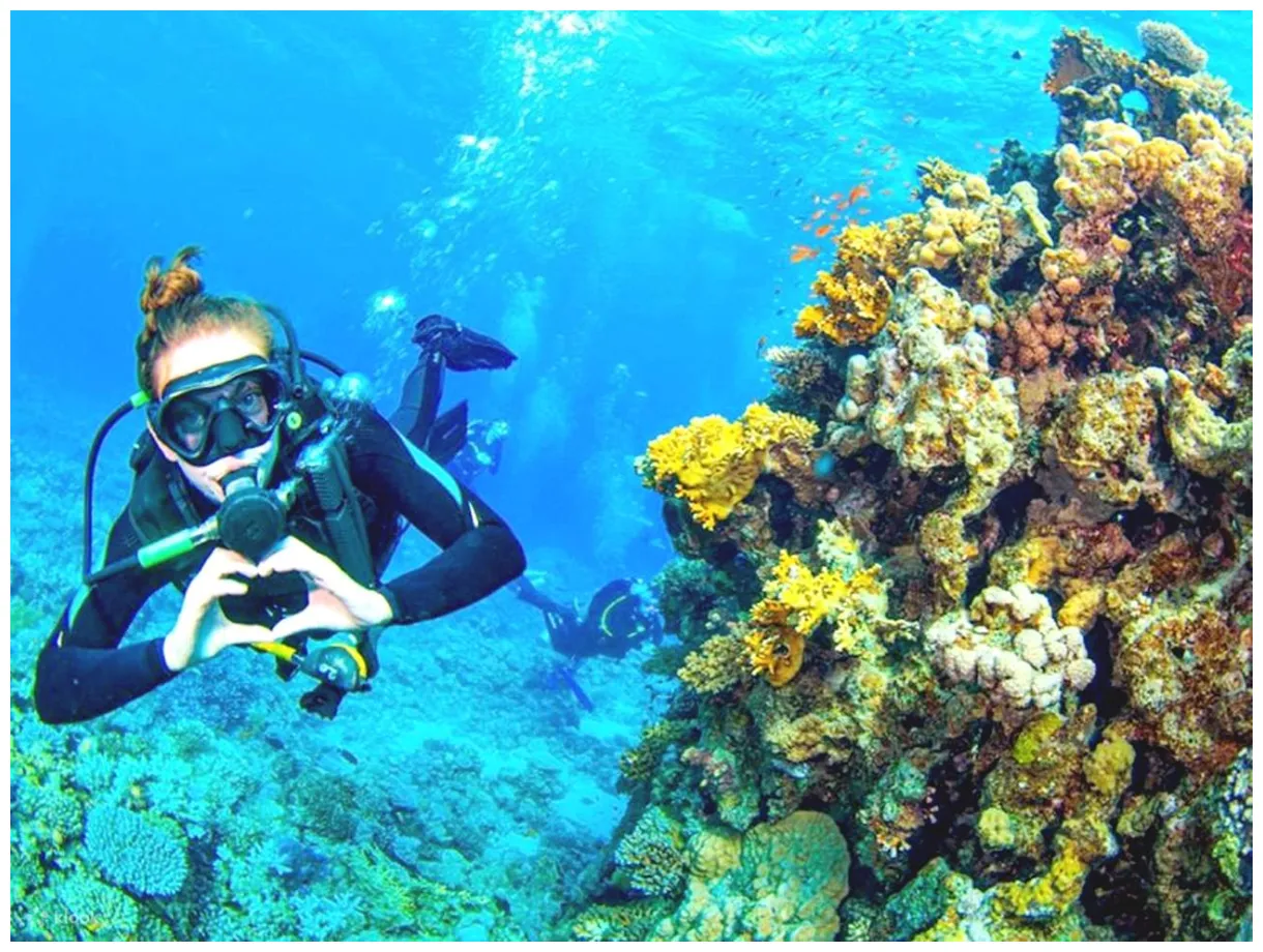 Explore Sahl Hasheesh with a Diving or Snorkeling Boat Trip including