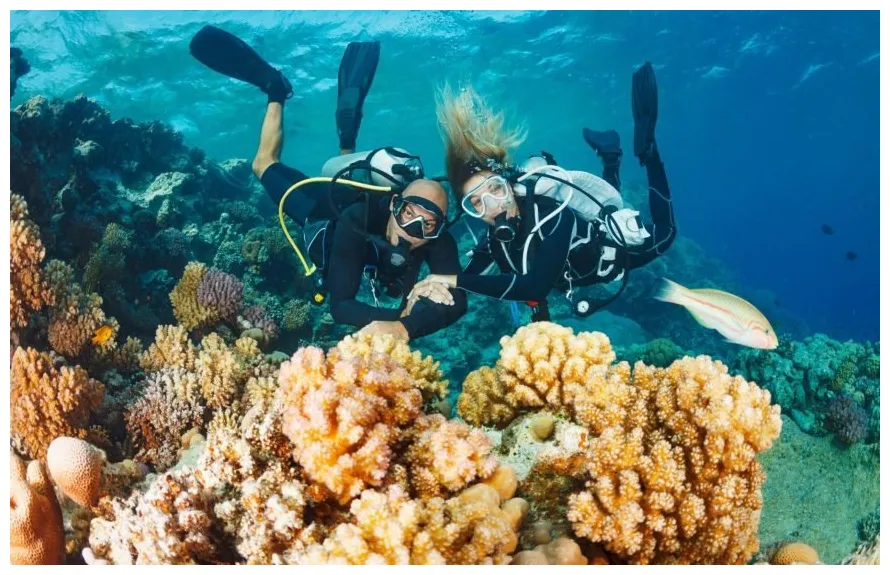 Tiran Island Boat Tour With Intro Dive - Sharm El Sheikh - The Rent Boat