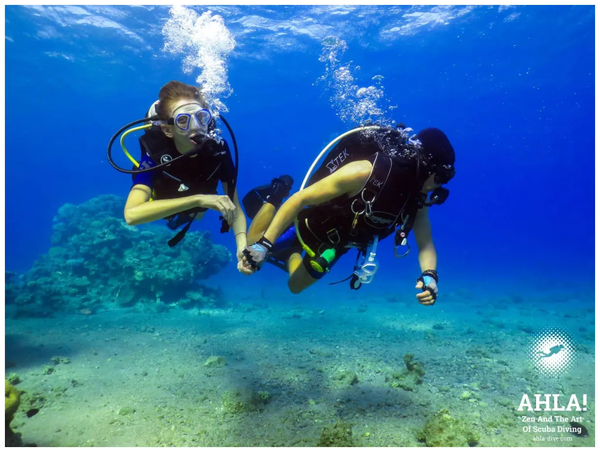 צלילת היכרות באילת | החל מ- 235 ₪ | 3 גולשים רכשו | גיפטוש