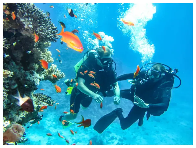 160+ Penyelam Komersial Foto Stok, Potret, & Gambar Bebas Royalti - iStock