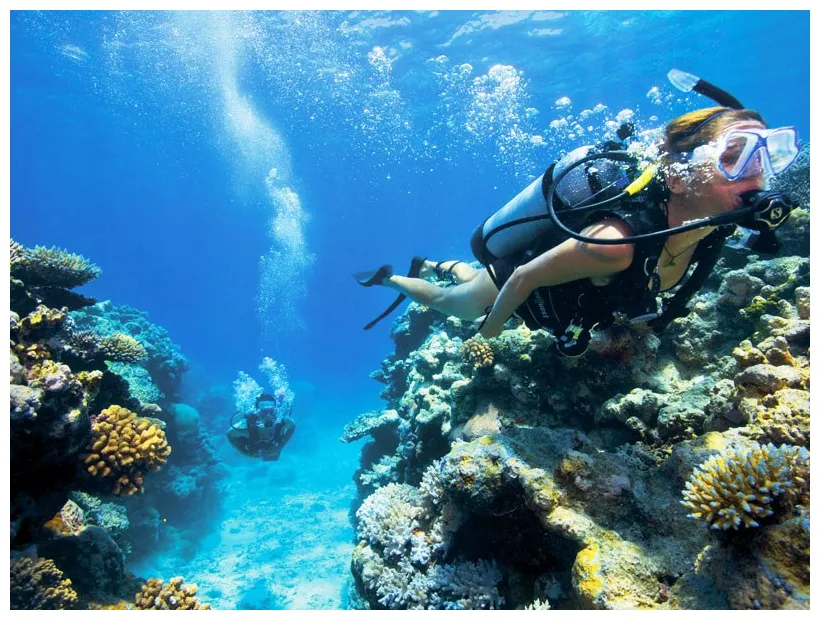 Lizard Island scuba diving — Yacht Charter & Superyacht News