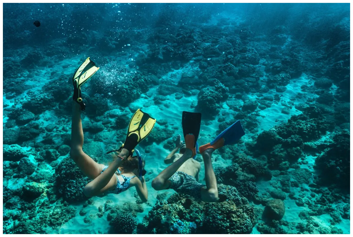 Ambassadors of the Environment | The Ritz-Carlton Maui, Kapalua