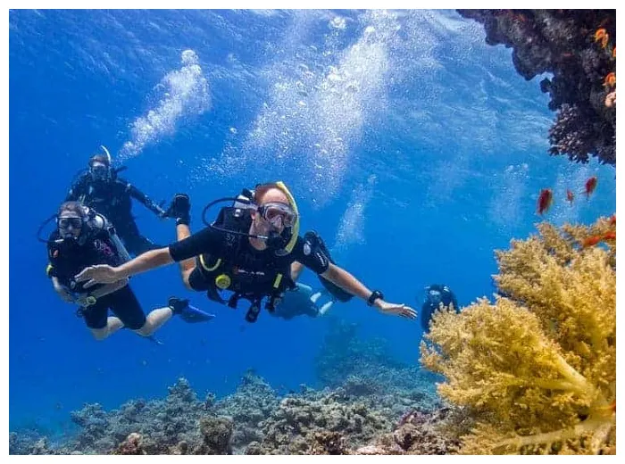 Hurghada Dive Sites