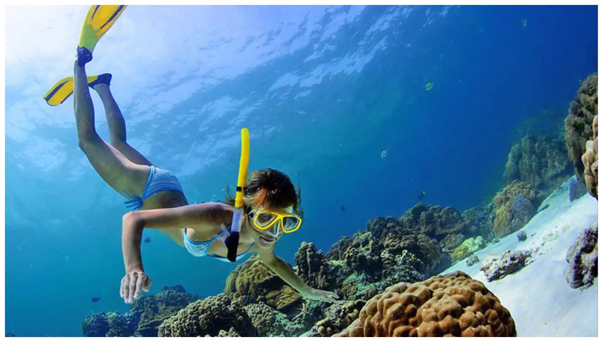 Alquiler equipo de snorkel - Yacht Watersports ibiza