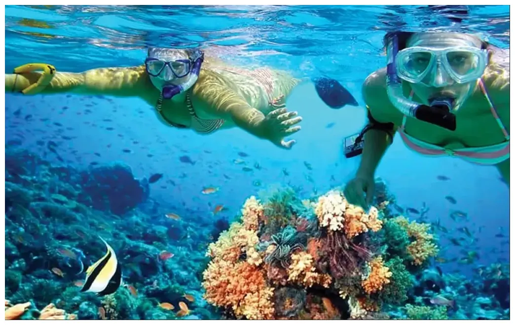 Cancun Snorkeling Tour | Snorkeling in Cancun | Cancun Tours | Cancun