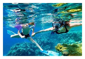 Cozumel Snorkel Tour | El Cielo Cozumel Snorkeling Tour $50