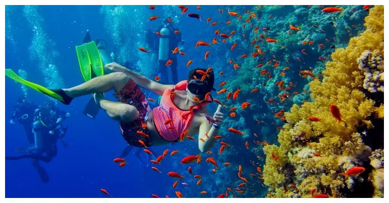 Sporturi in Zanzibar: Scuba diving, snorkeling, Kitesurfing - Zanzibar.ro