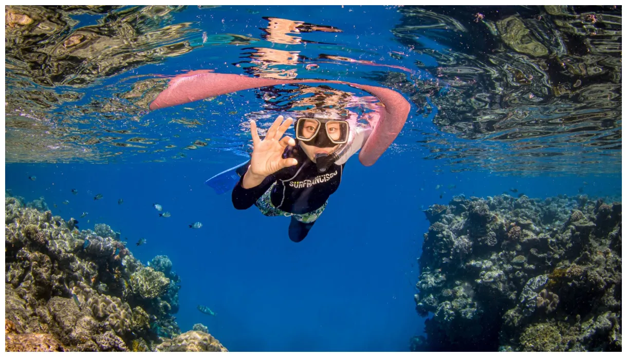 Snorkeling Coral Reef