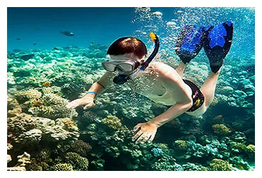 Sharm El Sheikh snorkeling trip, Sharm El Sheikh boat trips - My Great
