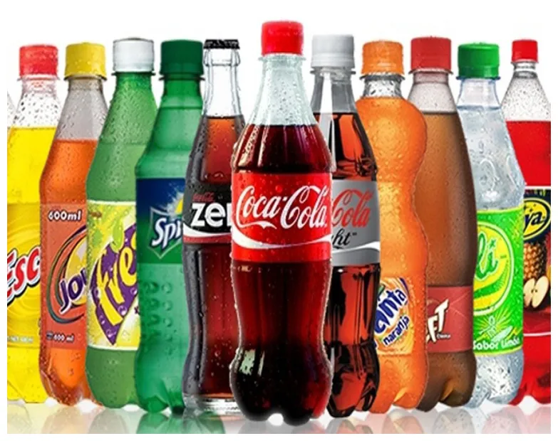 Our menu spice of india