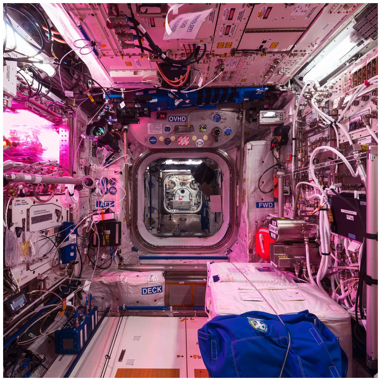 Us Space Station Inside A NASA Astronaut Is Back On Earth After A Year