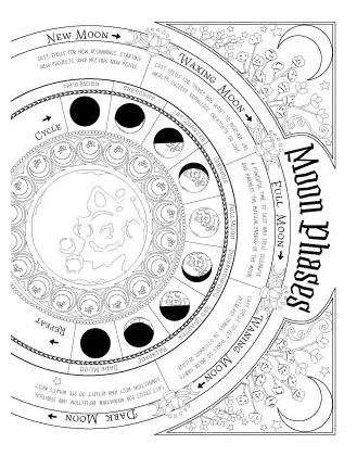 Tedy printable activities printable coloring page
