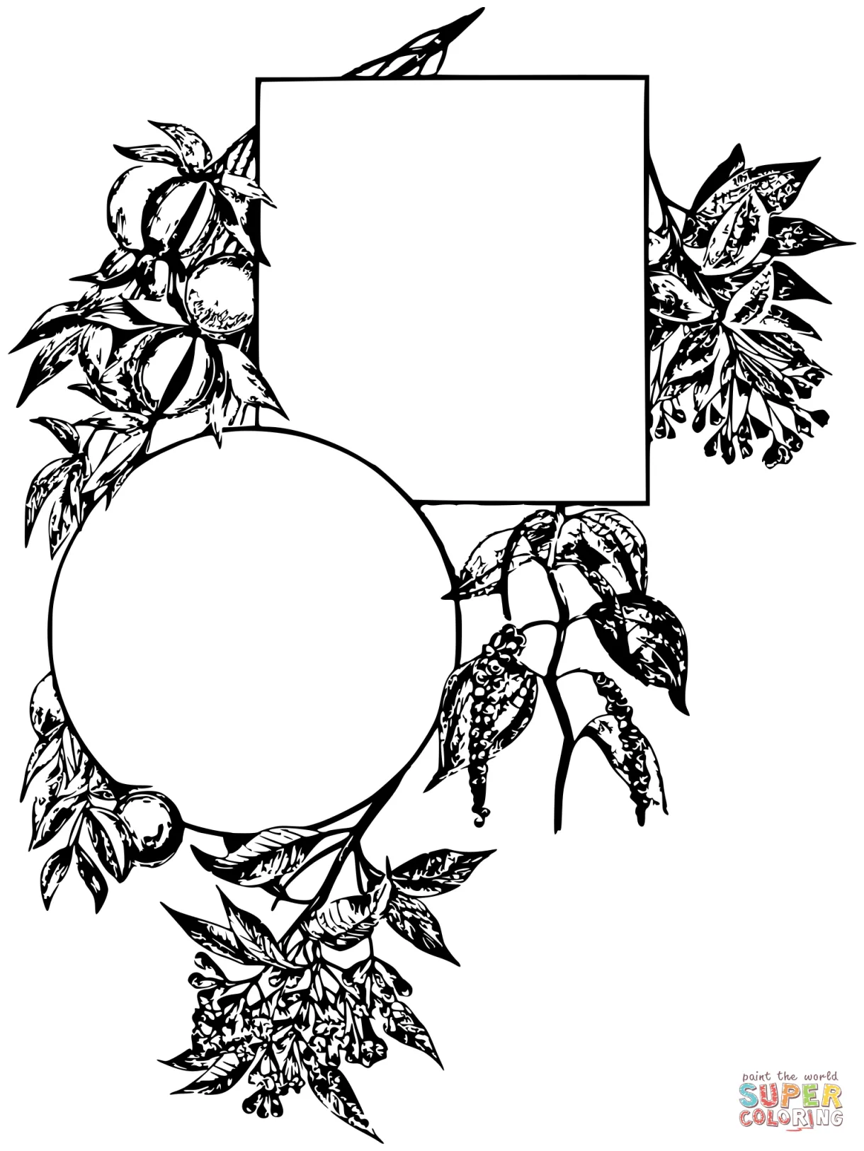 Vintage spice frame coloring page free printable coloring pages