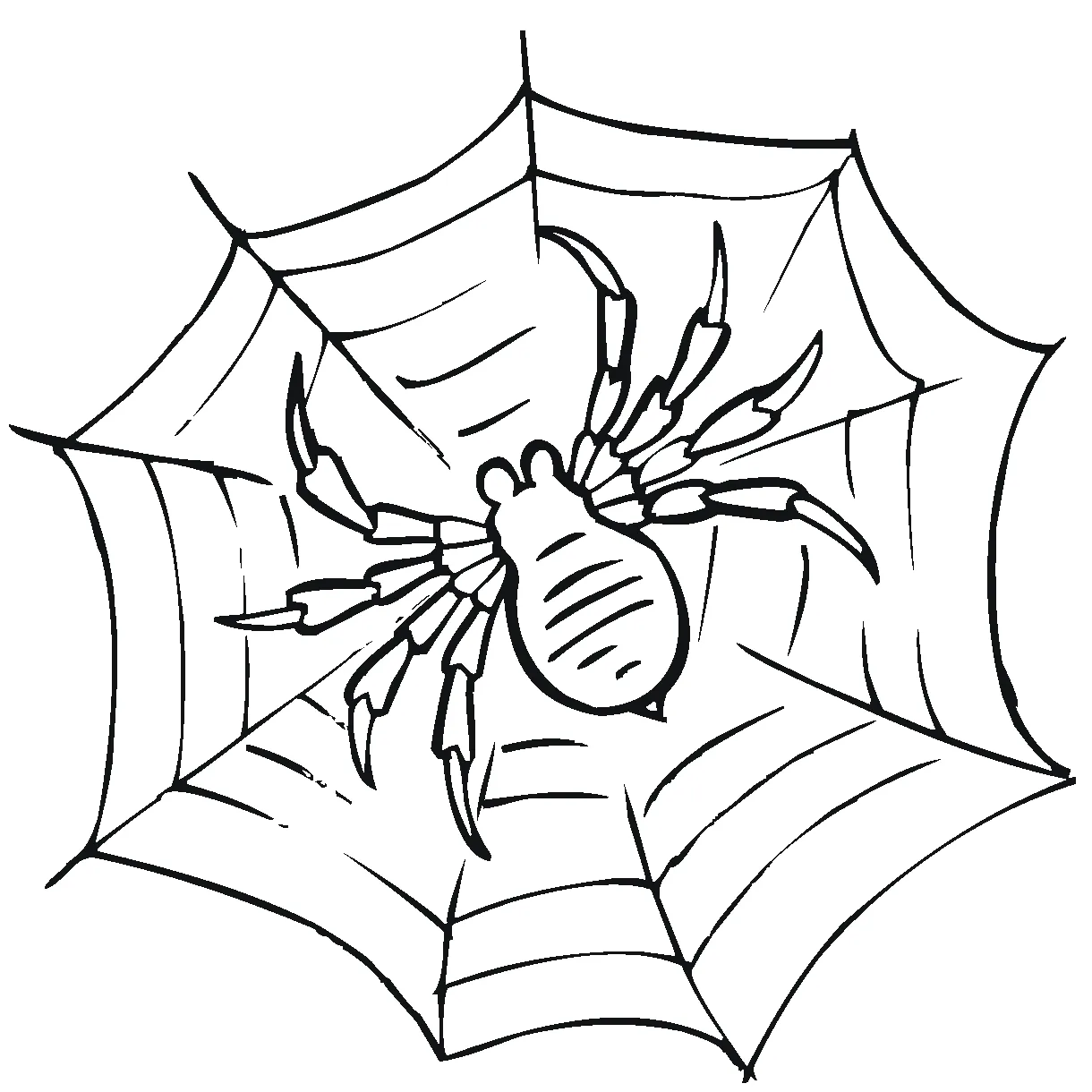 Free coloring page of a spider, download free coloring page of a spider