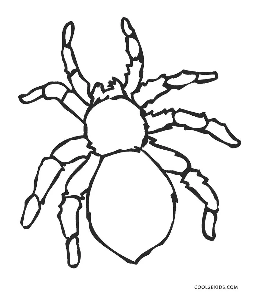 Free printable s for kids cool2bkids