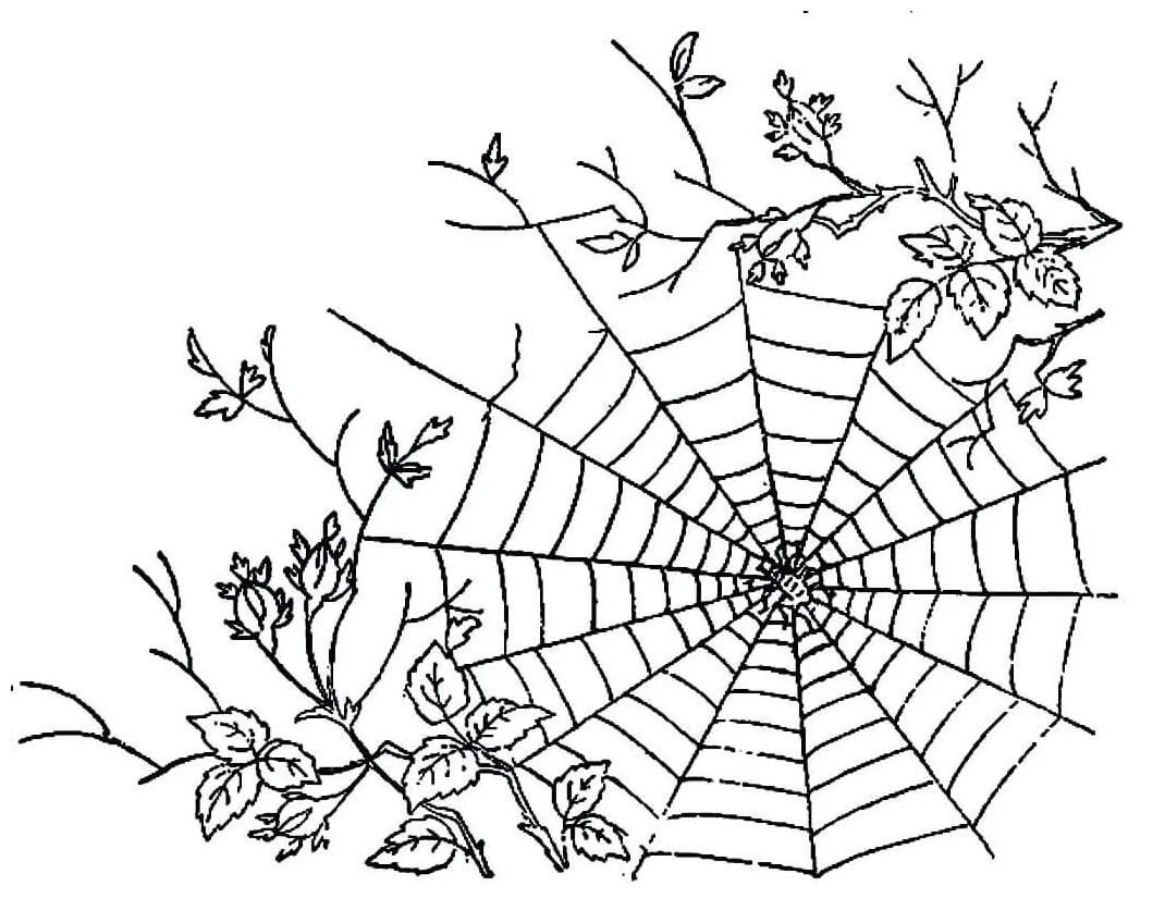 S printable coloring pages. free
