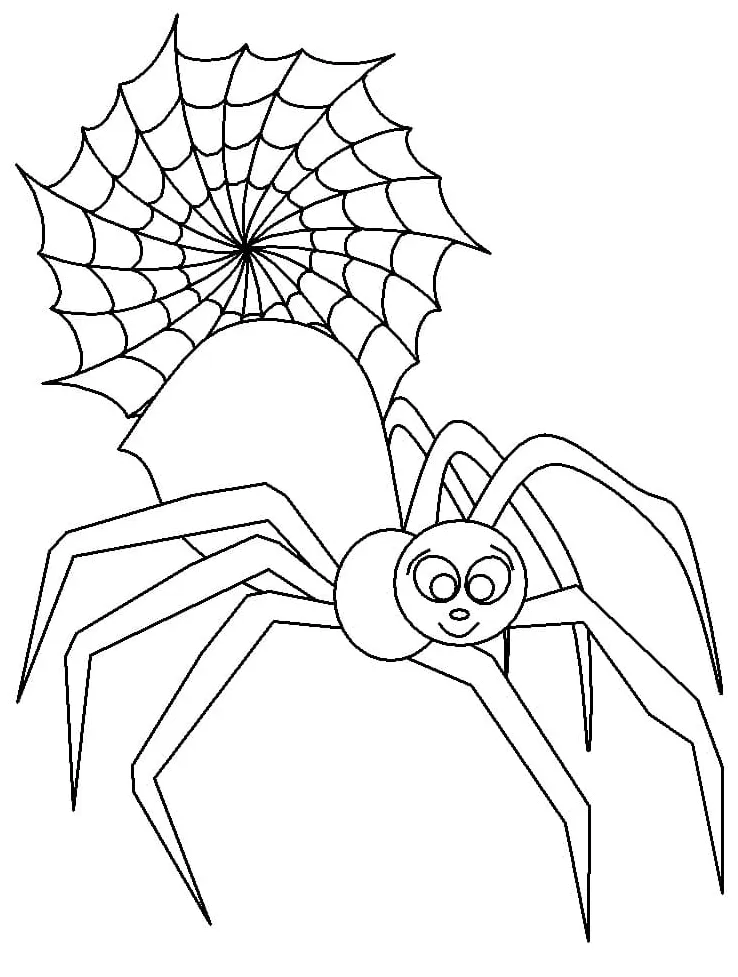Spider and spider web coloring page download, print or color online