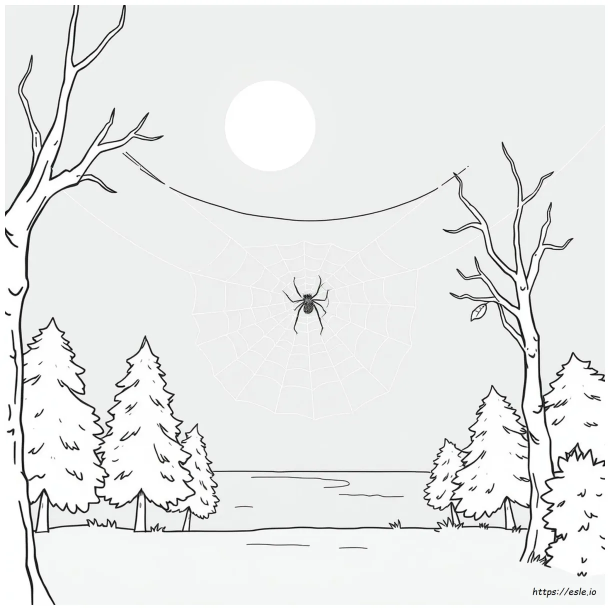Printable spider web coloring page