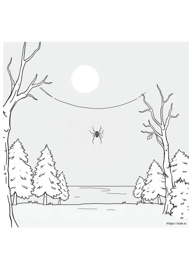 Printable spider web coloring page