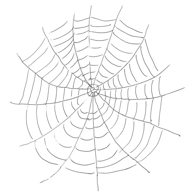 Normal Spider Web Coloring - Play Free Coloring Game Online