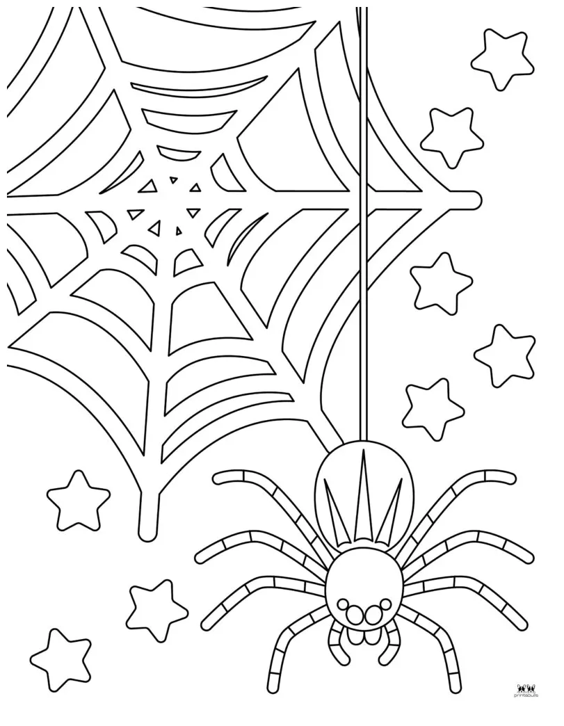 Spider web coloring pages [2025]