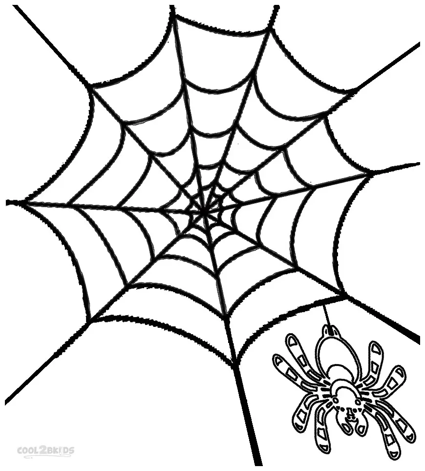 Printable spider web coloring pages for kids cool2bkids