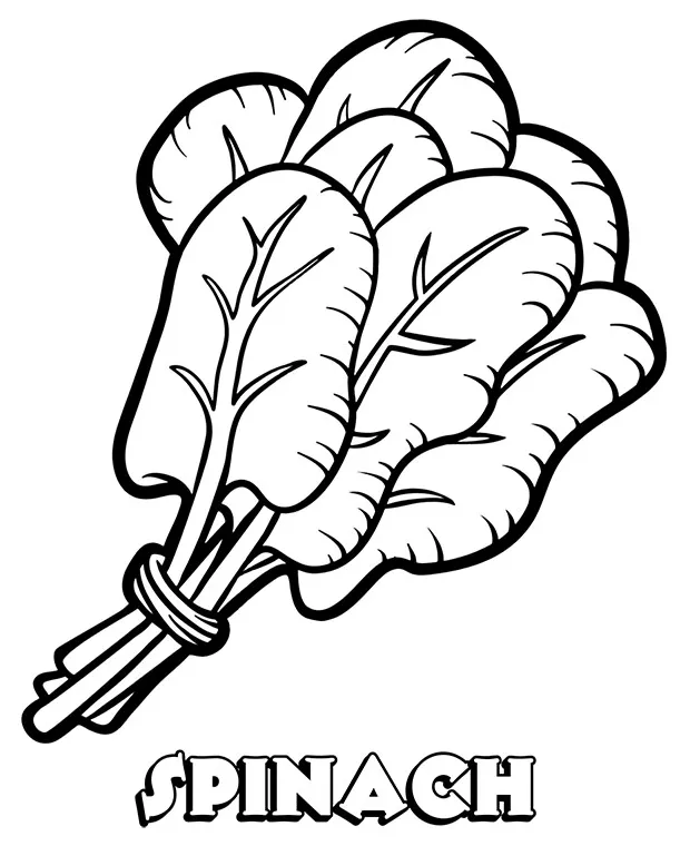 Printable coloring page spinach simple picture