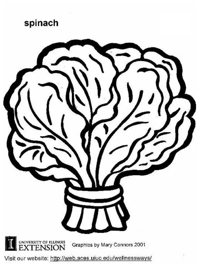 Coloring page spinach free printables img 5898