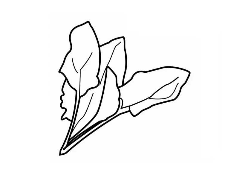 Spinach coloring pages - ColoringLib