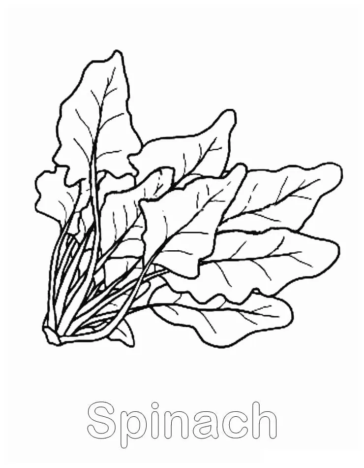 Spinach to Color Coloring Page - Free Printable Coloring Pages for Kids