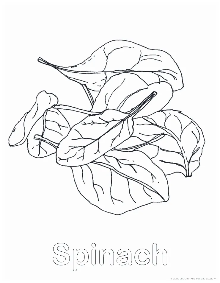 Spinach coloring pages printable coloring page