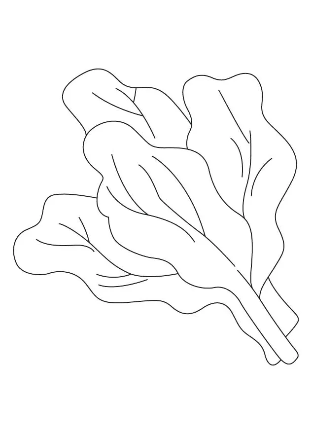 Spinach Coloring Page at GetColorings.com | Free printable colorings
