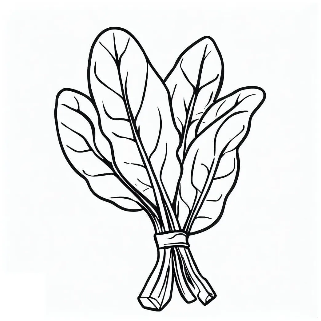 Spinach coloring pages coloringlib