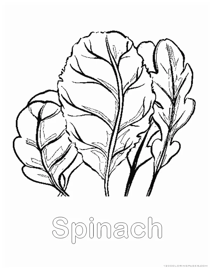 Spinach coloring pages