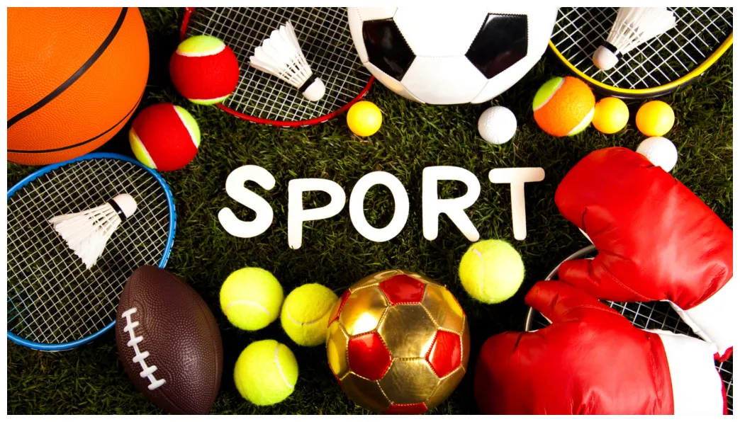 6 most popular sports in the us johan petersson