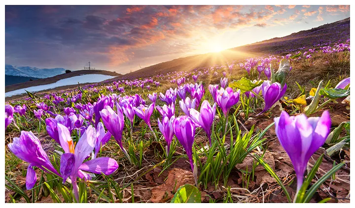 Why spring is the best time to learn something new glastonbury