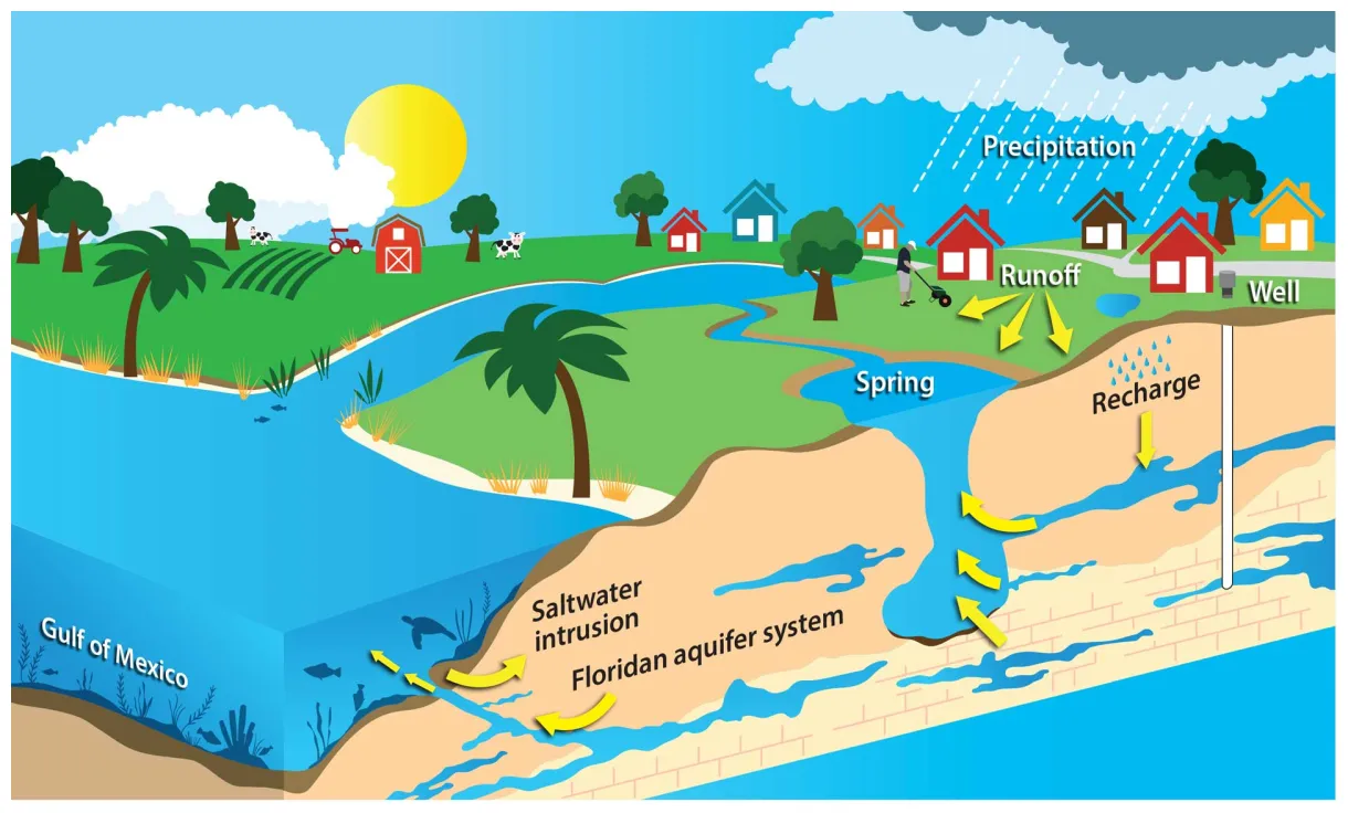 What is a spring? watermatters