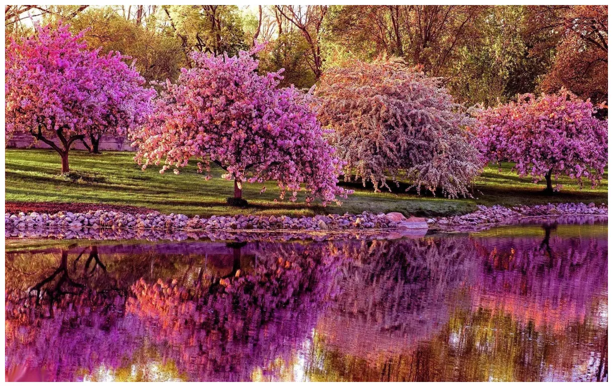 Top 999+ spring full , free to use